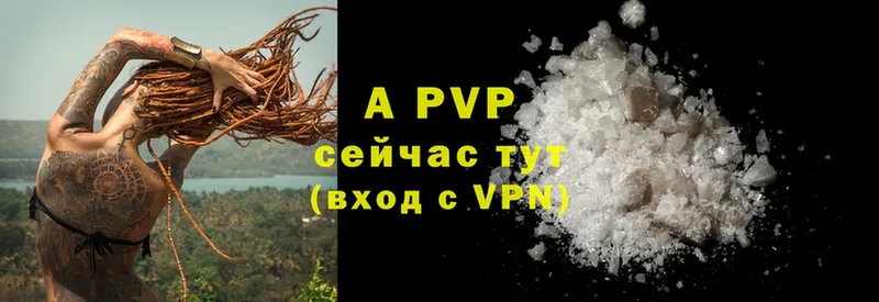 дарнет шоп  Кашин  APVP VHQ 