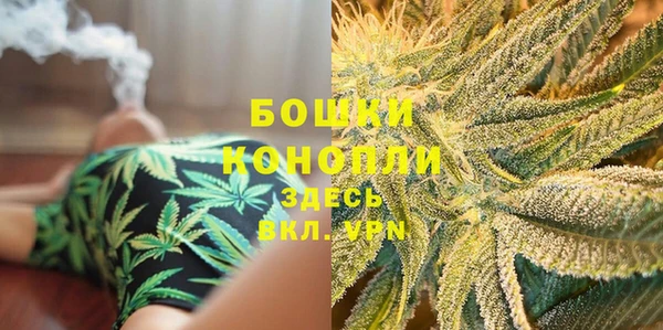 индика Вяземский